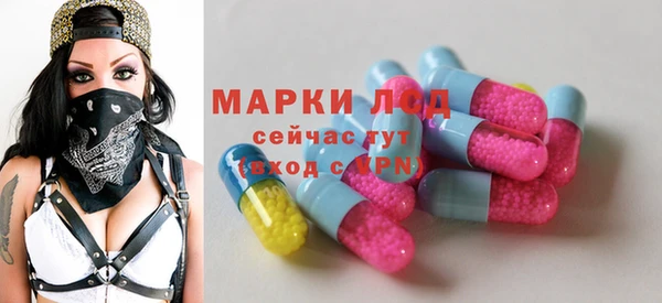 крисы Алзамай
