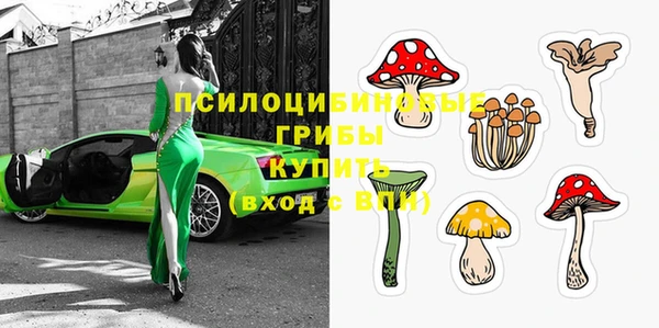 ешки Абаза