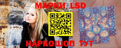 apvp Можга