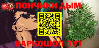 apvp Можга