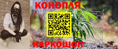 индика Можайск