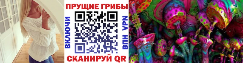 купить закладку  Дивногорск  Псилоцибиновые грибы Psilocybine cubensis 