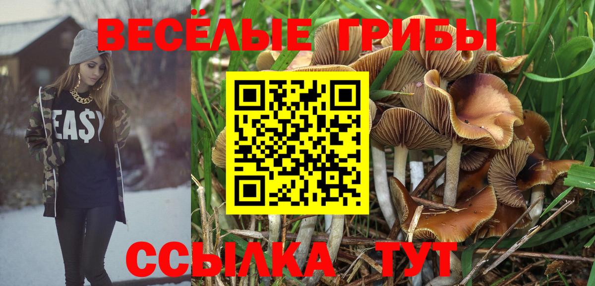 Псилоцибиновые грибы Psilocybine cubensis  Галлюциногенные грибы GOLDEN TEACHER  Дивногорск  Вход с VPN 