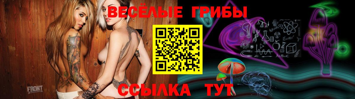 Псилоцибиновые грибы мухоморы Дивногорск